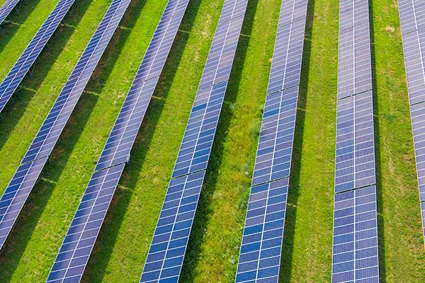 Sustainability