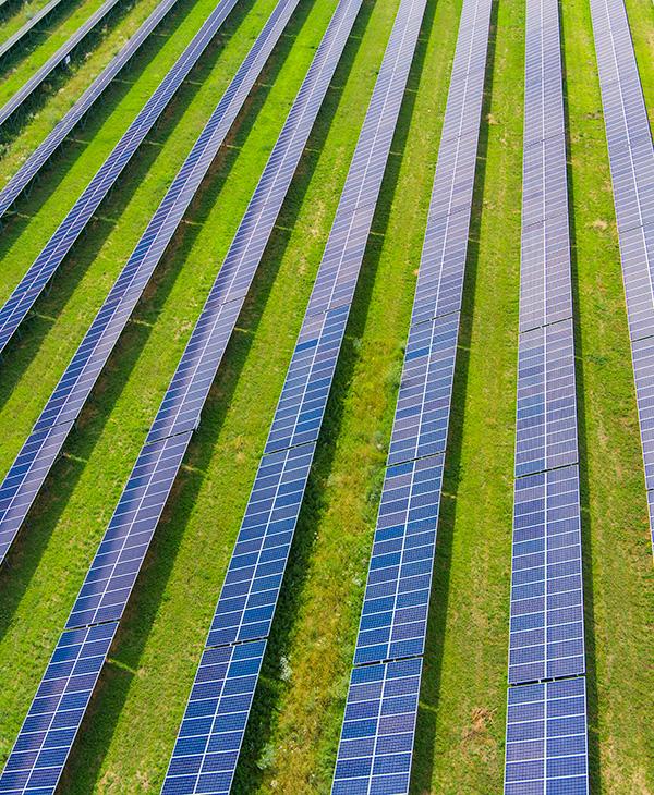 Sustainability